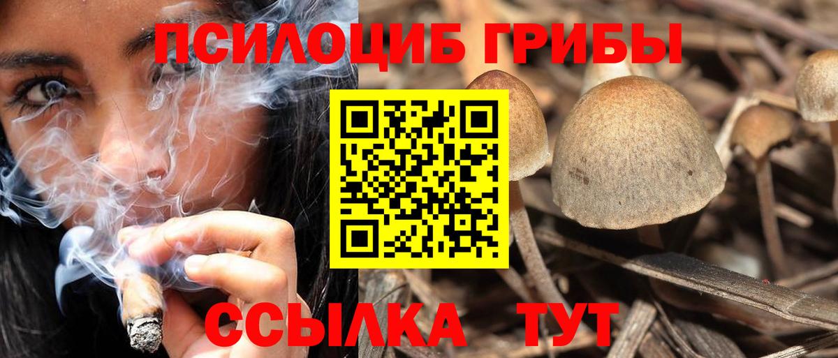 Печора  Псилоцибиновые грибы GOLDEN TEACHER  Псилоцибиновые грибы Cubensis  Вход с VPN 
