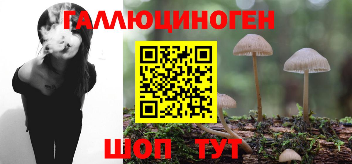 Галлюциногенные грибы прущие грибы Печора