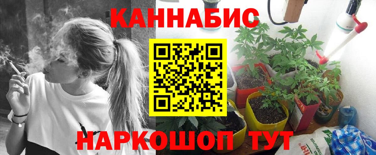 Бошки Шишки VHQ Печора
